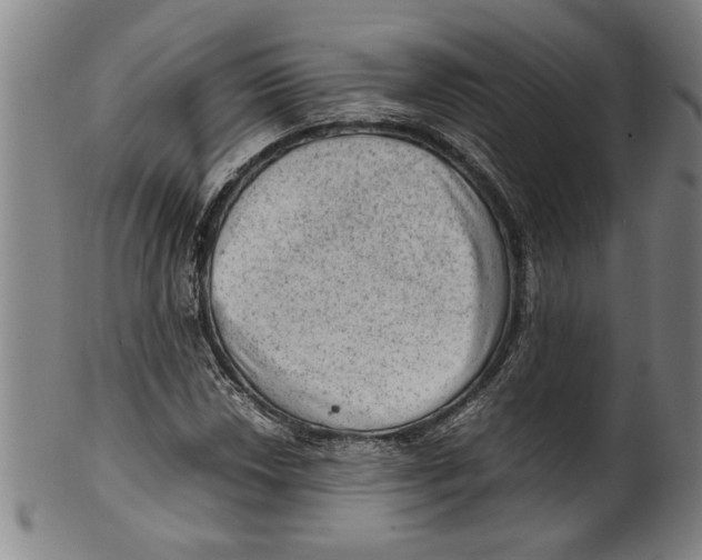 X0000099411018200806060926