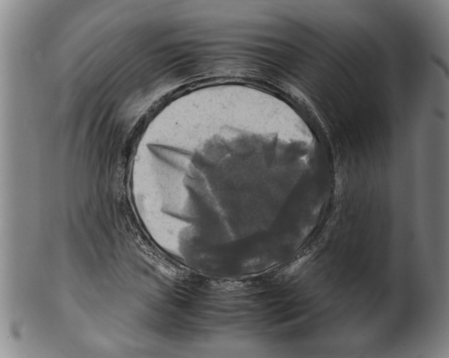 X0000099411019200806060926