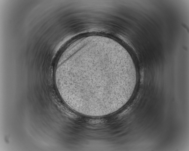 X0000099411021200806060926