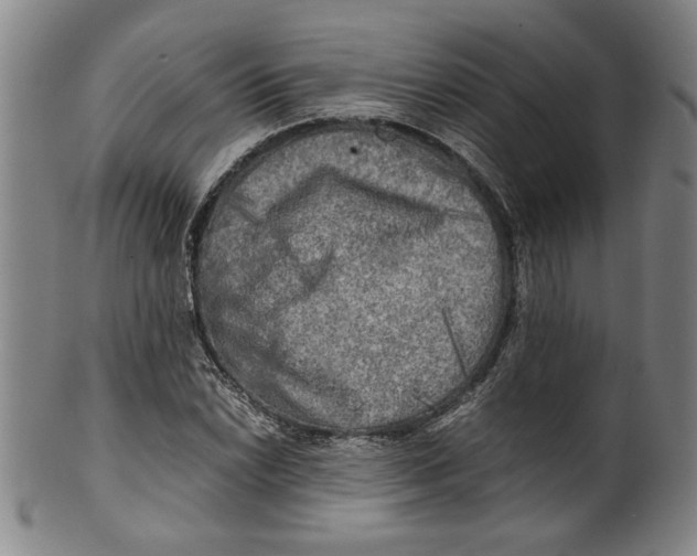 X0000099411022200806060926