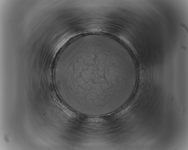 X0000099411023200806060926