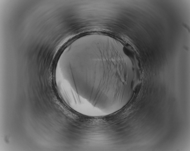 X0000099411024200806060926