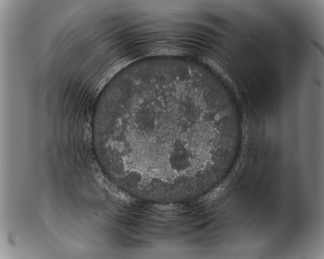 X0000099411025200806060926