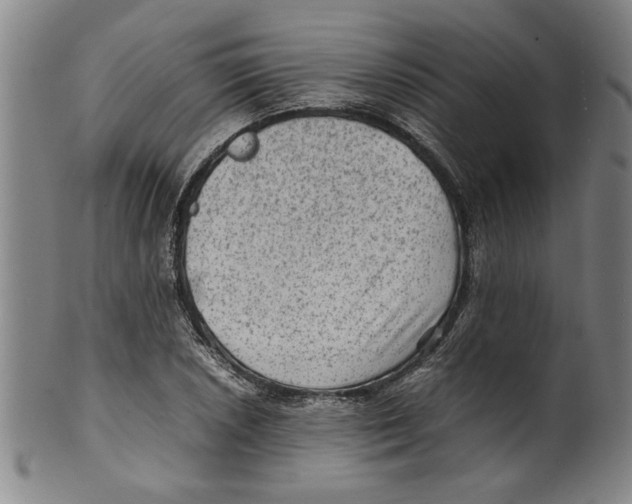 X0000099411026200806060926