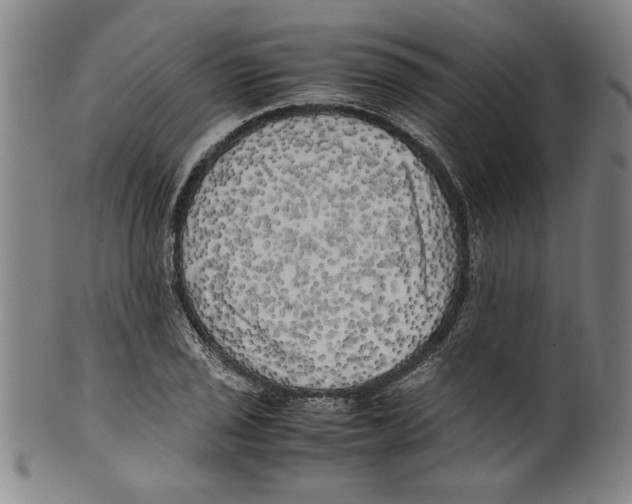 X0000099411029200806060927