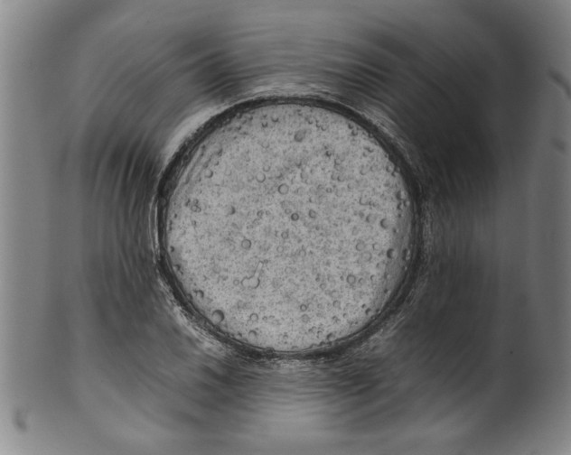 X0000099411030200806060927