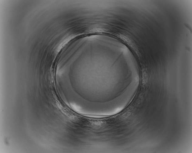 X0000099411031200806060927