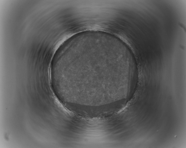 X0000099411032200806060927