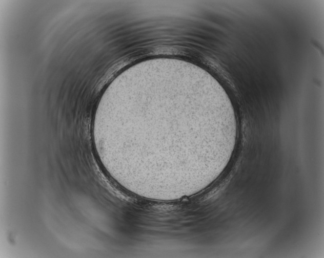 X0000099411033200806060927