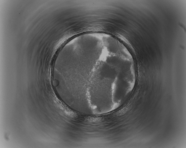 X0000099411035200806060927