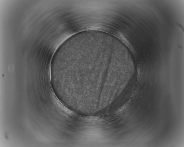 X0000099411036200806060927