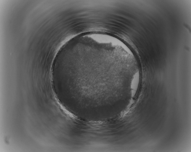 X0000099411037200806060927