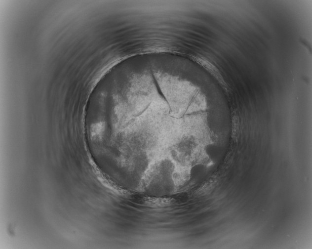 X0000099411039200806060927