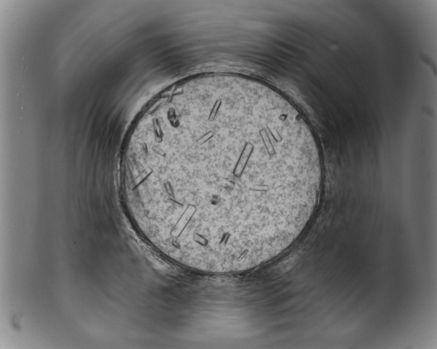 X0000099411040200806060927