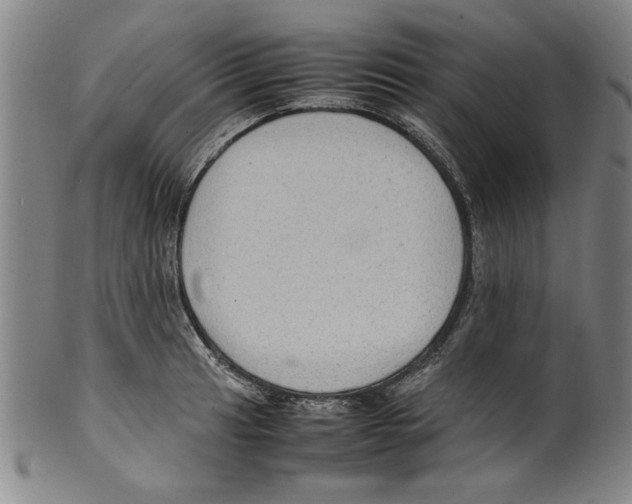 X0000099411041200806060927