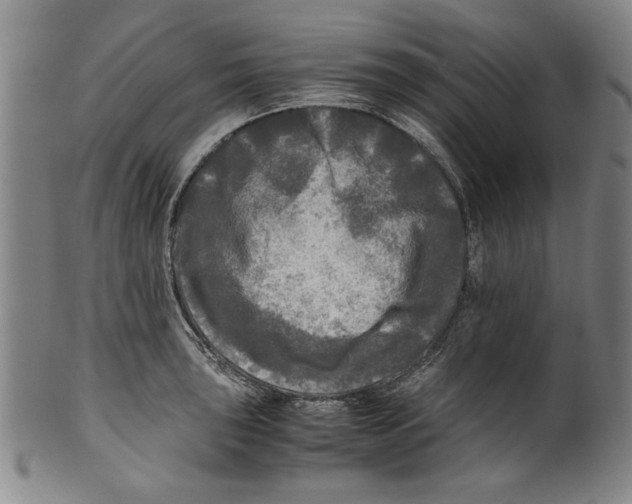 X0000099411043200806060927