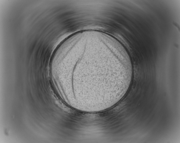 X0000099411044200806060927