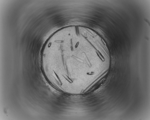 X0000099411046200806060927