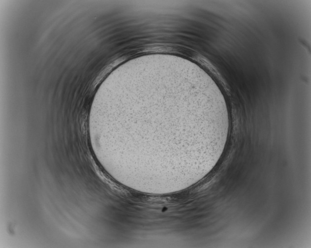 X0000099411049200806060927