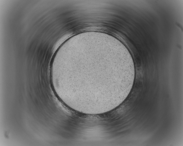 X0000099411050200806060927