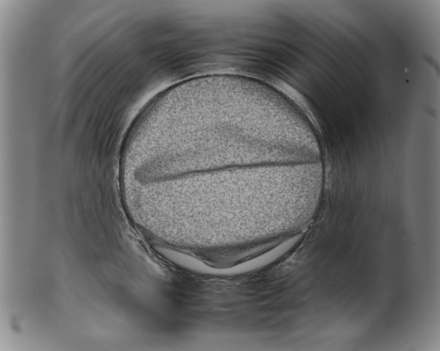 X0000099411051200806060927