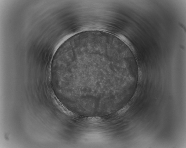 X0000099411052200806060927