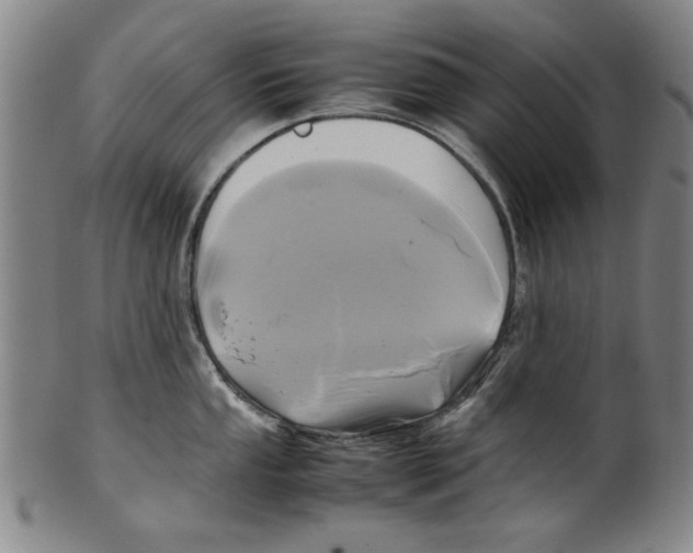 X0000099411053200806060927