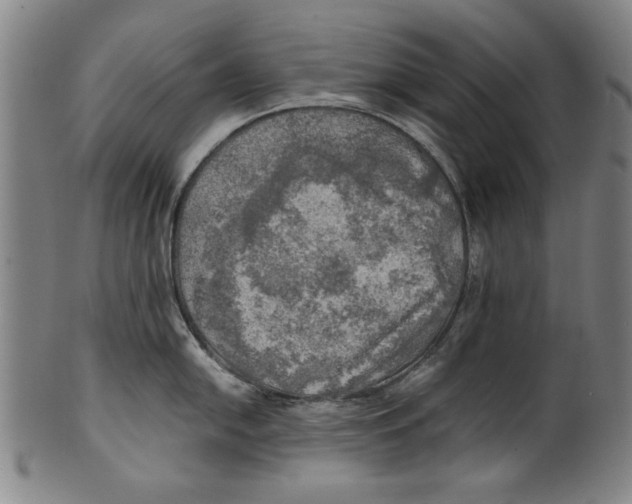 X0000099411054200806060927