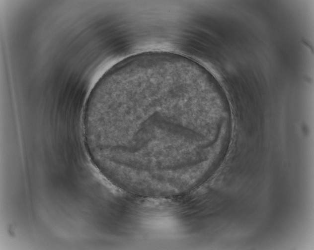 X0000099411056200806060927