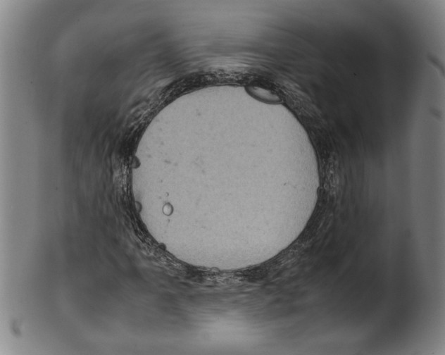 X0000099411061200806060926