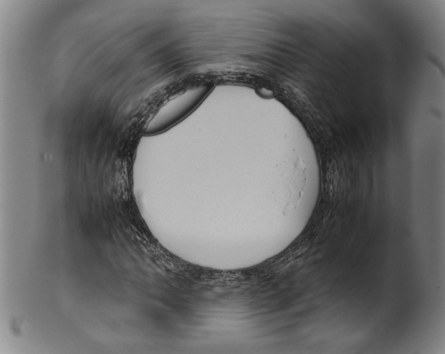 X0000099411062200806060926