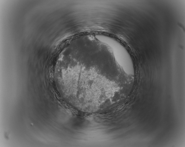 X0000099411063200806060926