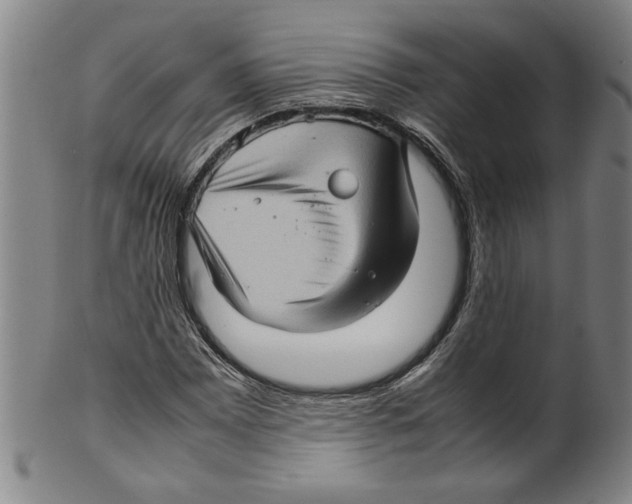 X0000099411065200806060926