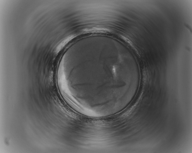 X0000099411066200806060926