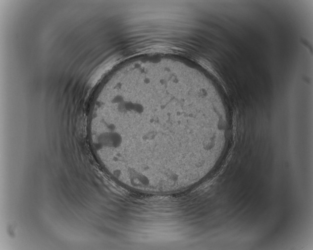 X0000099411067200806060926