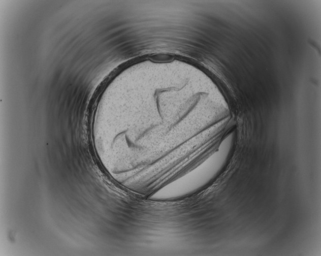 X0000099411068200806060926