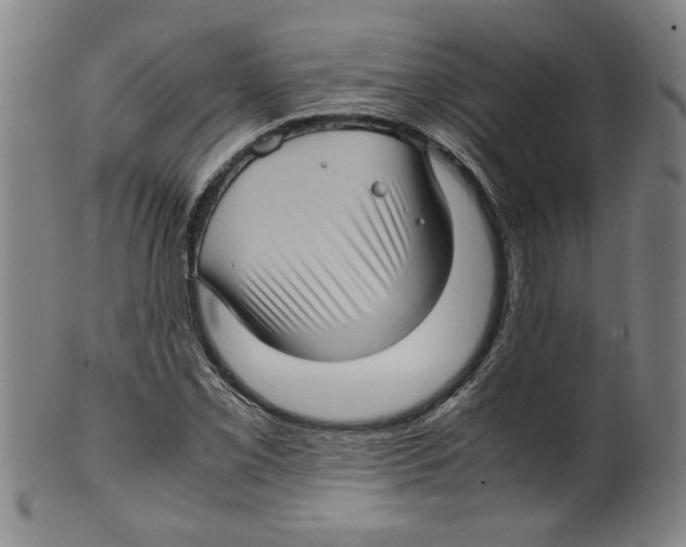 X0000099411069200806060926