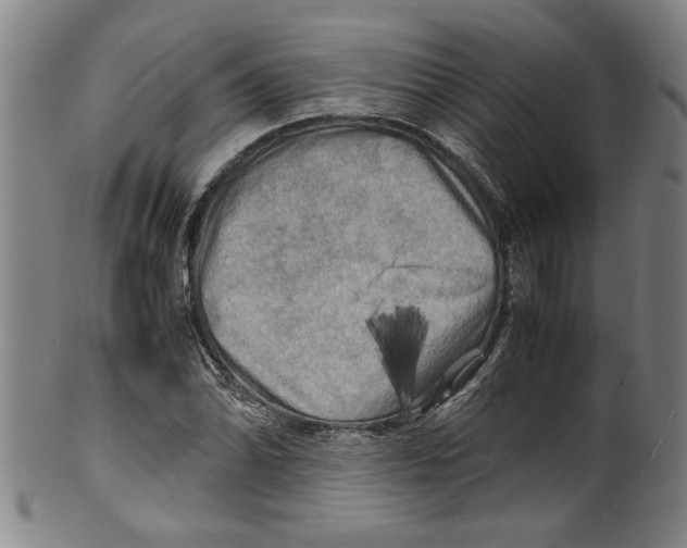 X0000099411070200806060926