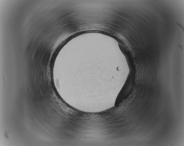 X0000099411072200806060926