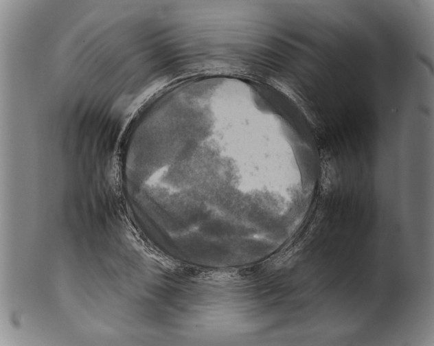 X0000099411074200806060926