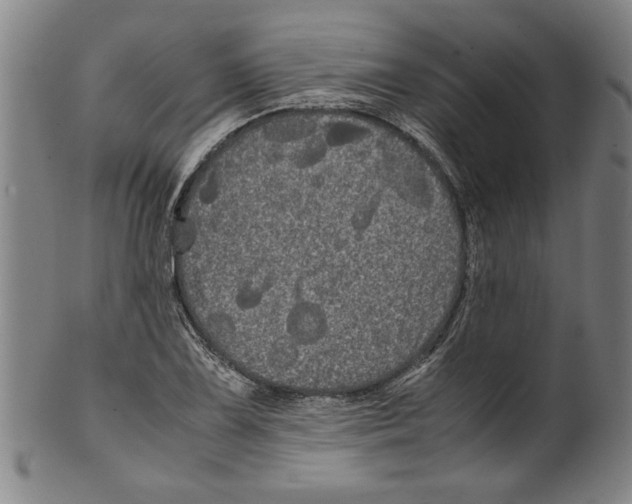 X0000099411075200806060926