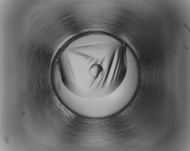 X0000099411076200806060926