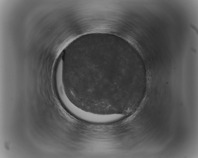 X0000099411077200806060926