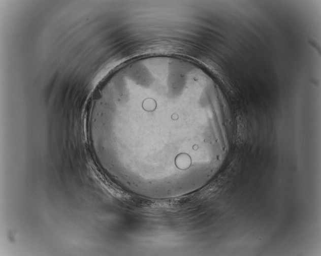 X0000099411078200806060926