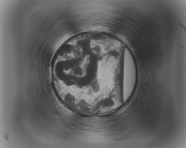 X0000099411079200806060926