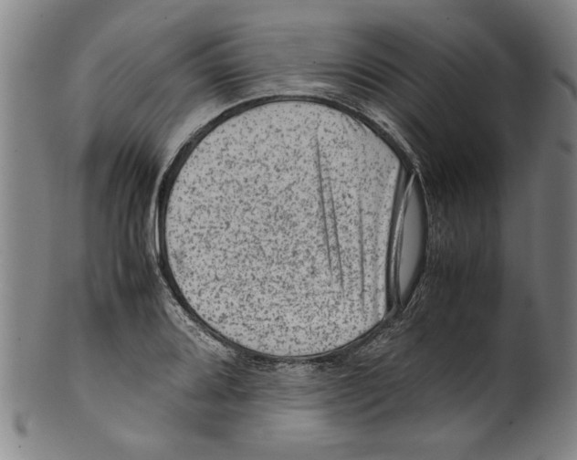 X0000099411080200806060926