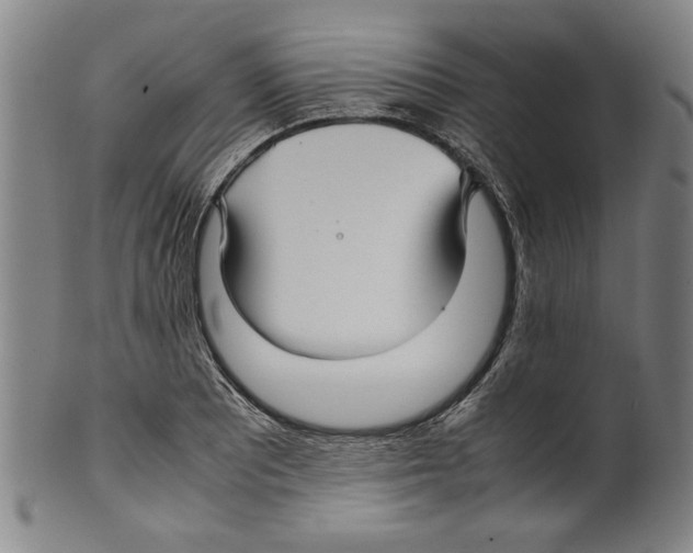 X0000099411081200806060926