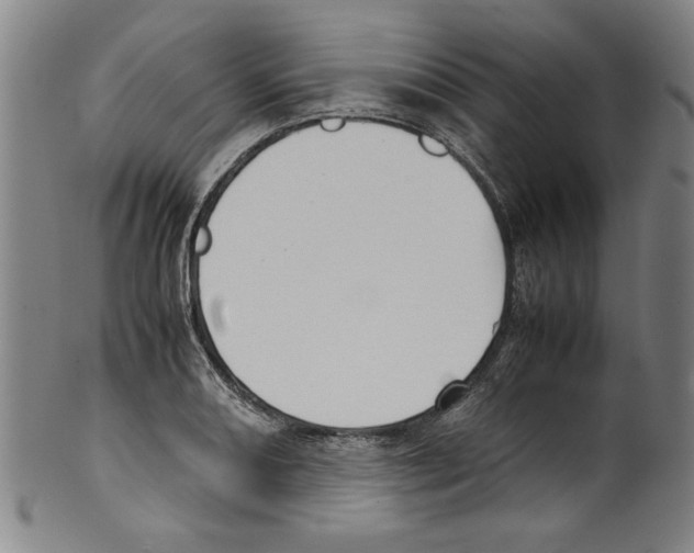 X0000099411082200806060926