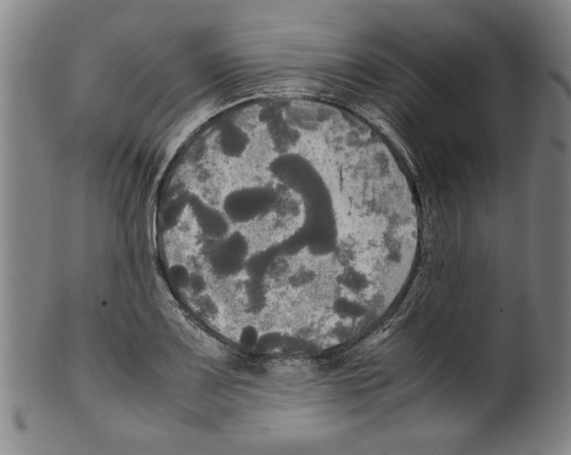 X0000099411083200806060926