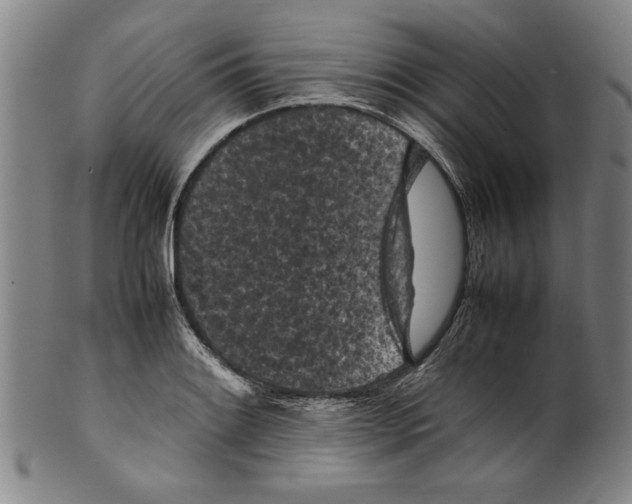 X0000099411084200806060926